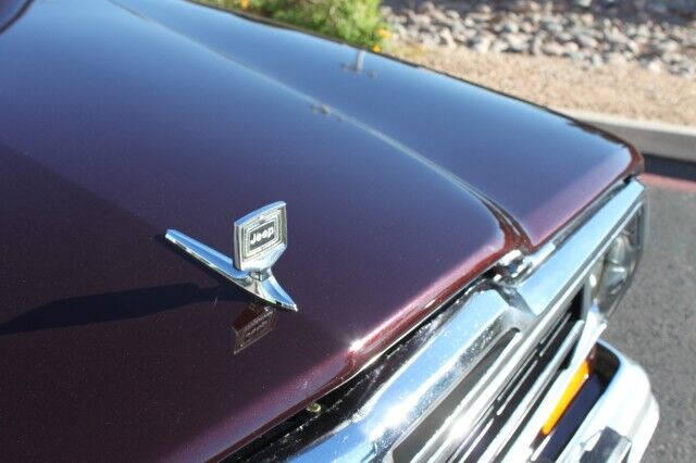 1989 Jeep Grand Wagoneer