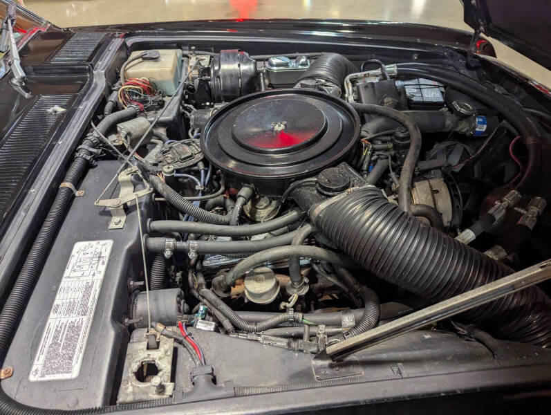 1984 Avanti II