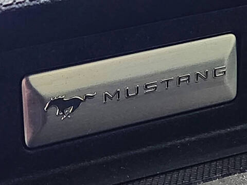 2019 Ford Mustang