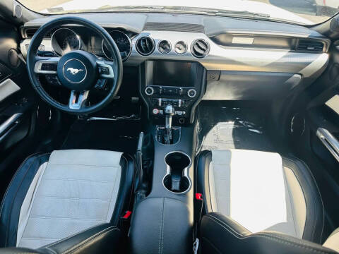 2015 Ford Mustang GT 50 Years Limited Edition