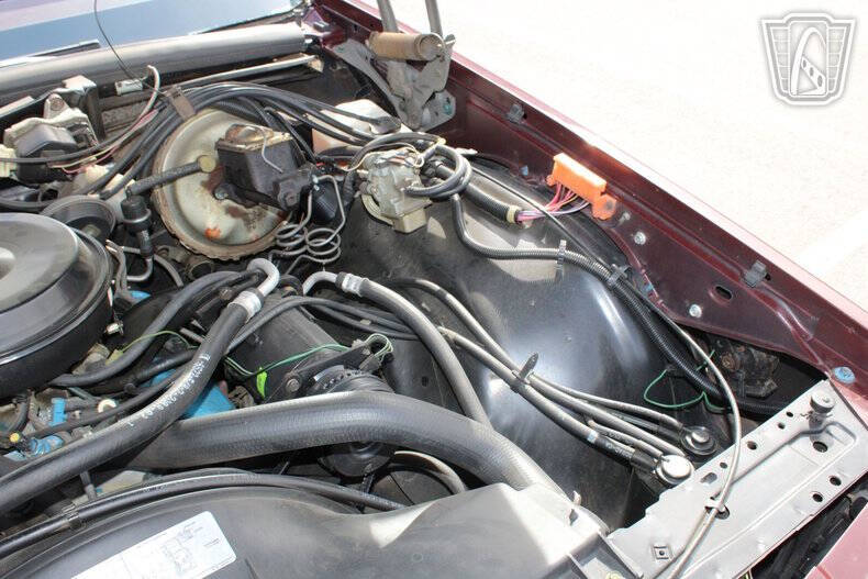 1979 Chevrolet Caprice