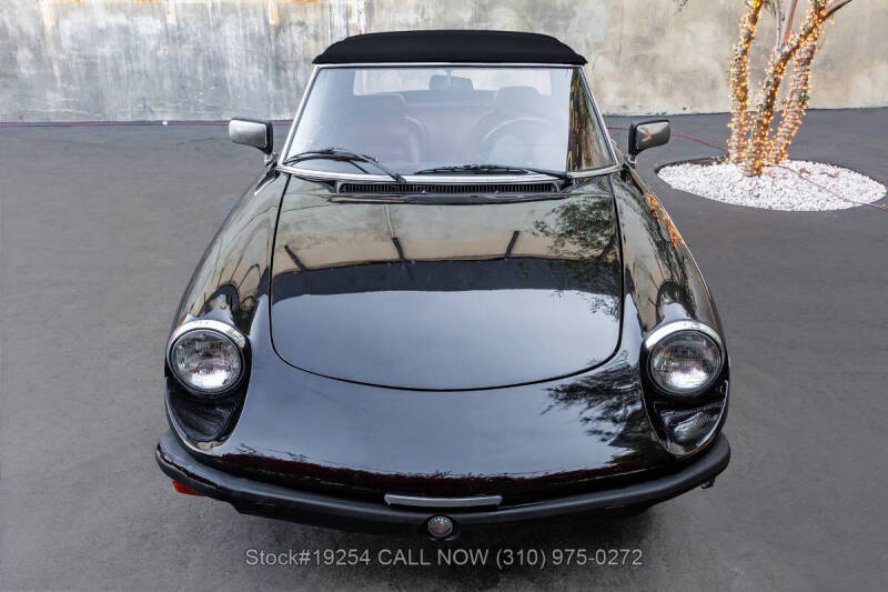 1981 Alfa Romeo Spider Veloce