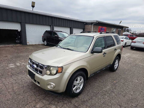2011 Ford Escape XLT