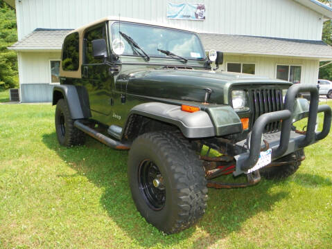 1995 Jeep Wrangler for sale at Ed Davis LTD in Poughquag NY