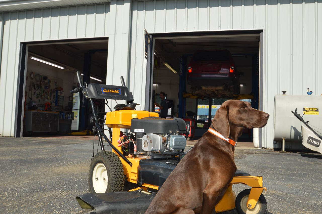 Cub Cadet For Sale In Altoona, PA
