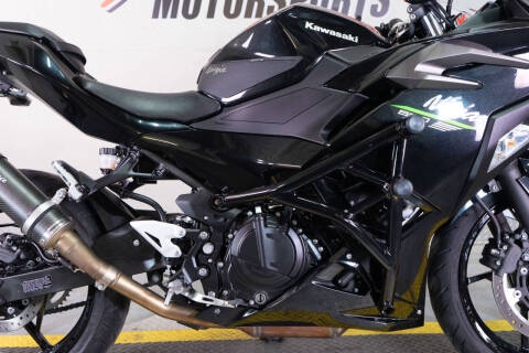 2024 Kawasaki Ninja 500