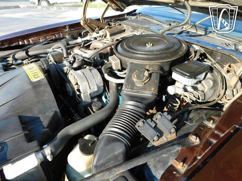 1981 Pontiac Firebird Trans Am