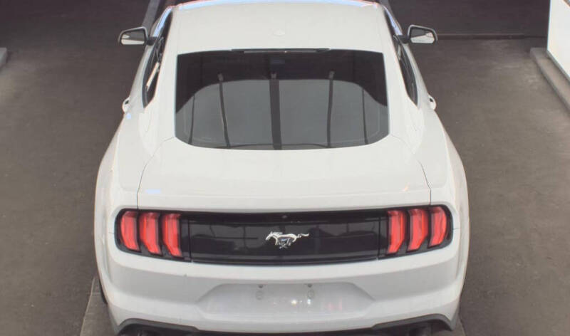 2019 Ford Mustang EcoBoost