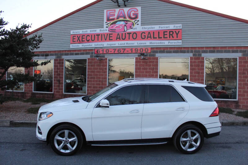 2017 Mercedes-Benz GLE for sale at EXECUTIVE AUTO GALLERY INC in Walnutport PA