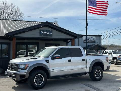 2011 Ford F-150 for sale at Fesler Auto in Pendleton IN