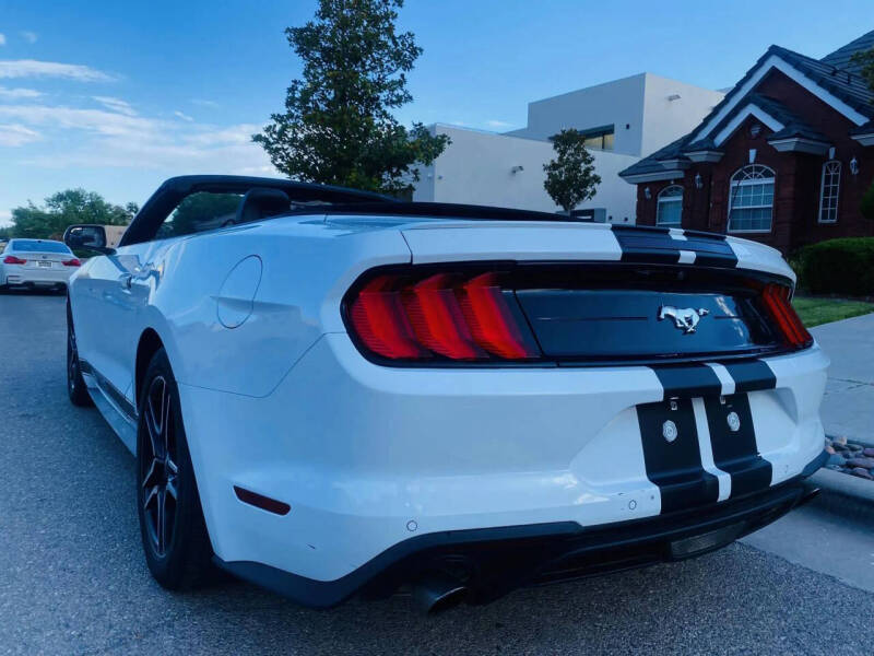 2019 Ford Mustang