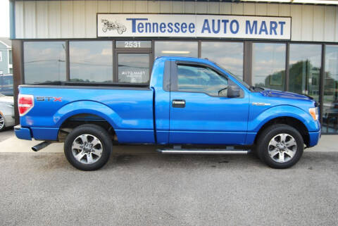 2012 Ford F-150 for sale at Tennessee Auto Mart Columbia in Columbia TN