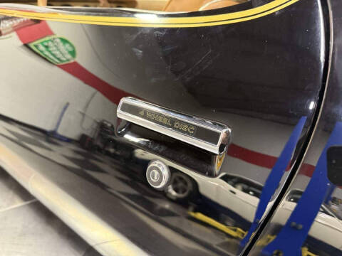 1981 Pontiac Firebird Trans Am