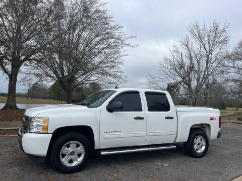 2010 Chevrolet Silverado 1500 for sale at LAMB MOTORS INC in Hamilton AL