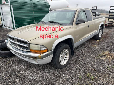 2001 Dodge Dakota for sale at Ada Truck Sales in Bluffton OH