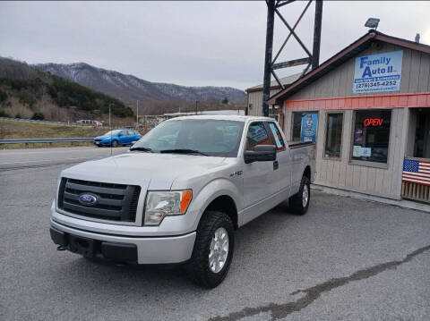 2011 Ford F-150 for sale at FAMILY AUTO II in Pounding Mill VA