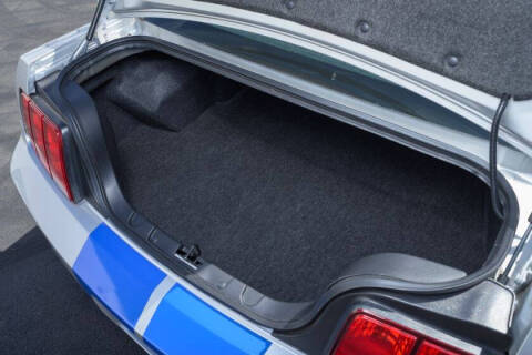 2009 Ford Shelby GT500