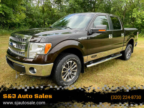2013 Ford F-150 for sale at S&J Auto Sales in South Haven MN