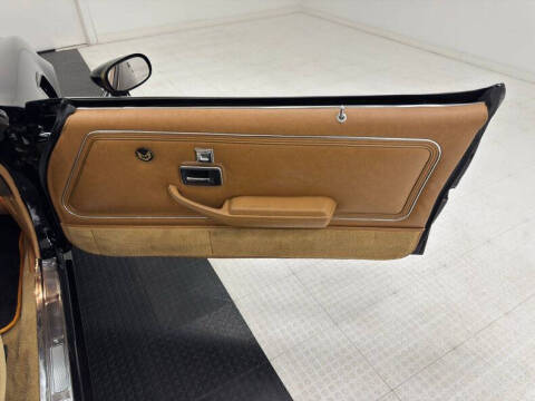 1981 Pontiac Firebird Trans Am