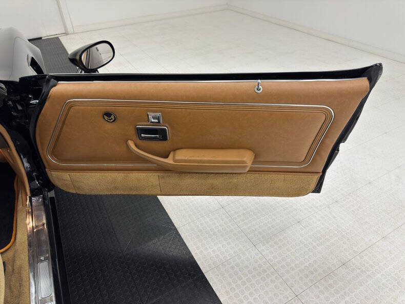 1981 Pontiac Firebird Trans Am