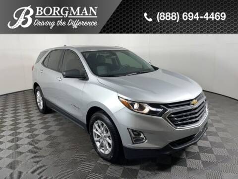 2019 Chevrolet Equinox for sale at BORGMAN OF HOLLAND LLC in Holland MI