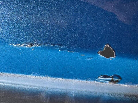 1981 Pontiac Firebird Trans Am