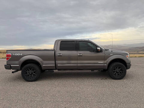 2013 Ford F-150 Platinum