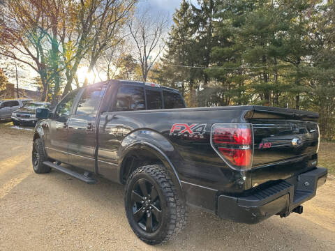 2014 Ford F-150 FX4