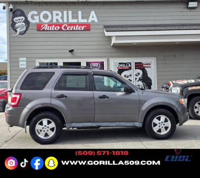 2011 Ford Escape XLT