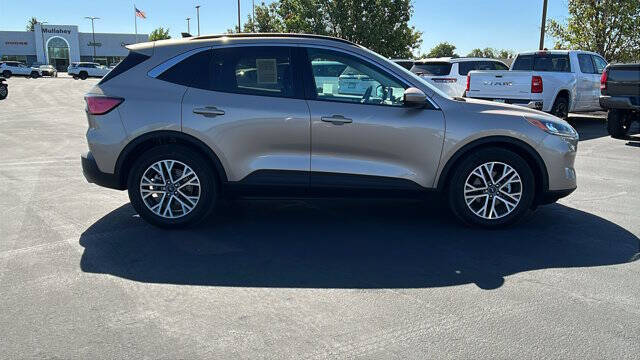 Gold 2021 Ford Escape SEL SEL 4dr SUV 2