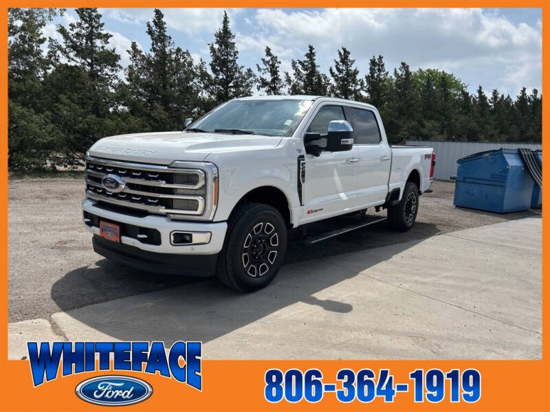 Used 2023 Ford F-250 Super Duty Platinum with VIN 1FT8W2BM4PEC99826 for sale in Hereford, TX