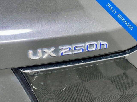 2020 Lexus UX 250h