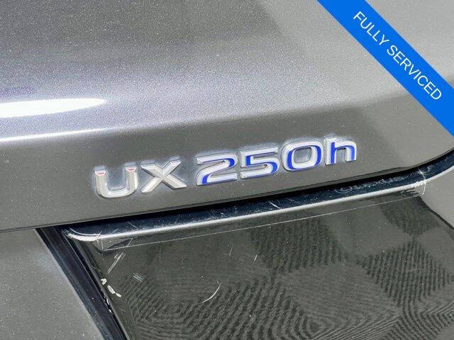 2020 Lexus UX 250h
