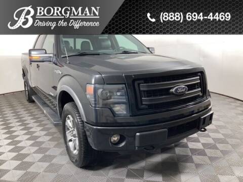 2014 Ford F-150 for sale at BORGMAN OF HOLLAND LLC in Holland MI