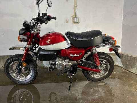 2024 Honda Monkey for sale at McManus Motors in Wheat Ridge CO