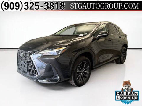 2024 Lexus NX 250 Base Photo