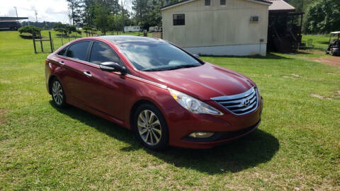 2014 Hyundai Sonata for sale at Lakeview Auto Sales LLC in Sycamore GA