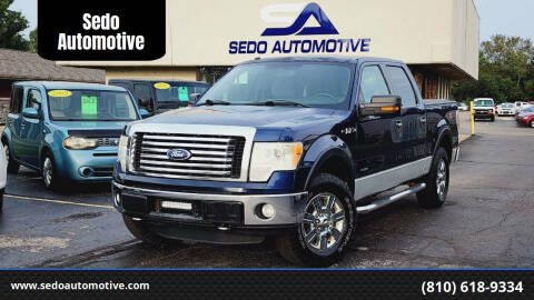 2011 Ford F-150 for sale at Sedo Automotive in Davison MI