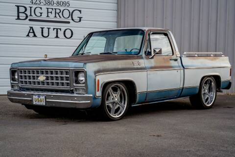 1980 Chevrolet C/K 10 Series for sale at Big Frog Auto in Cleveland TN