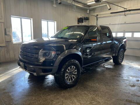 2014 Ford F-150 for sale at Sand's Auto Sales in Cambridge MN