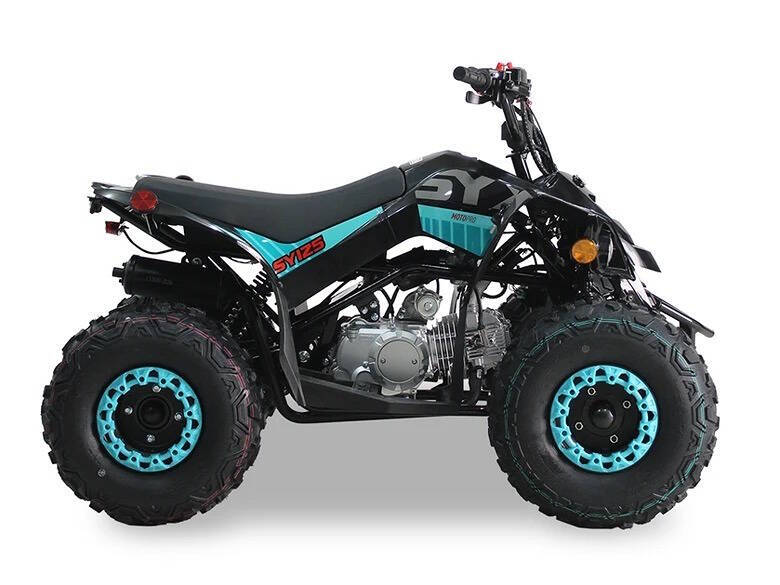 2024 SYXMOTO  PRO SERIES ATV SY125 for sale at TEXAS MOTORS POWERSPORT in ORLANDO, FL