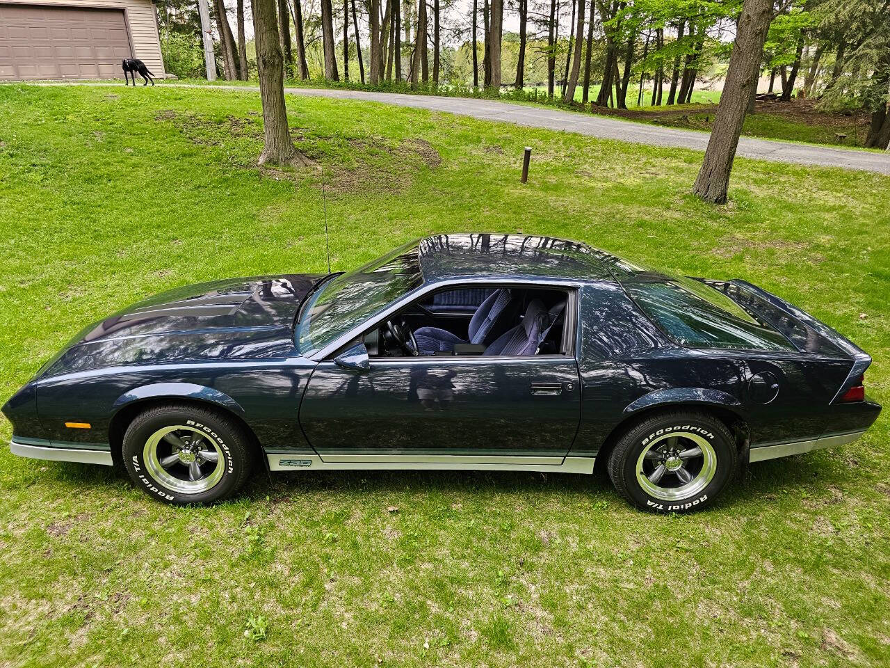 1982 Chevrolet Camaro 13