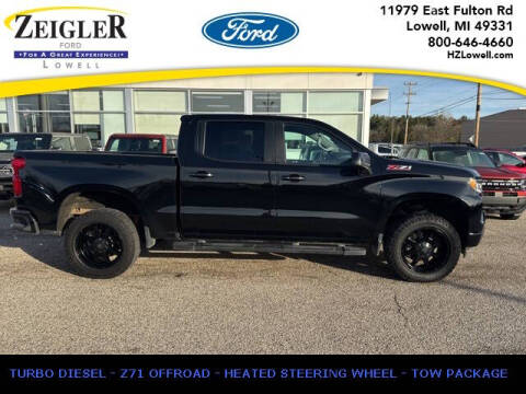 2022 Chevrolet Silverado 1500 for sale at Zeigler Ford of Plainwell in Plainwell MI