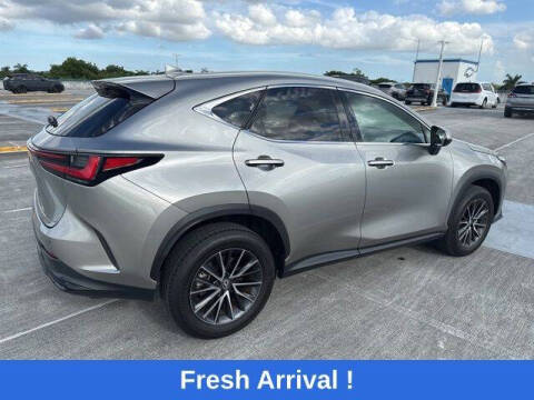 2024 Lexus NX 250 Premium