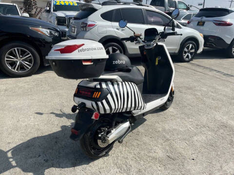 2020 Zebra E-bike