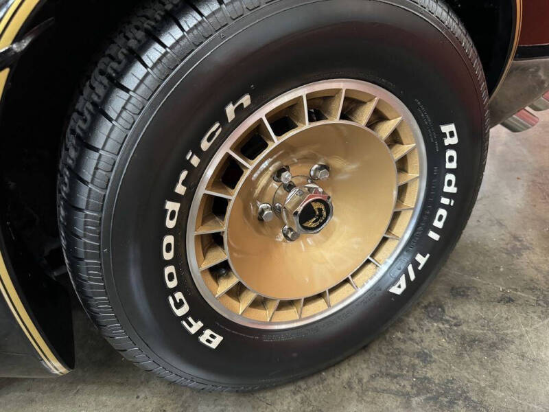 1981 Pontiac Firebird Trans Am