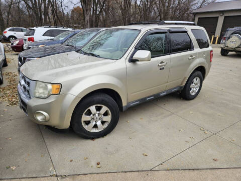 2010 Ford Escape Limited