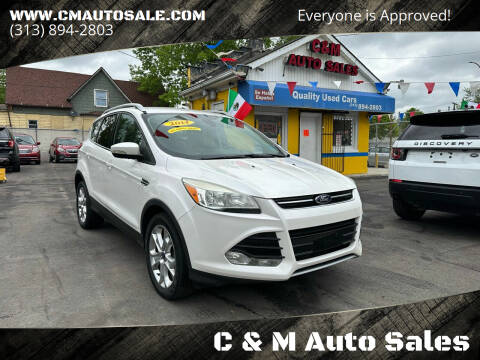 2014 Ford Escape for sale at C & M Auto Sales in Detroit MI