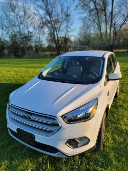 2019 Ford Escape for sale at Solo Auto in Rochester NY