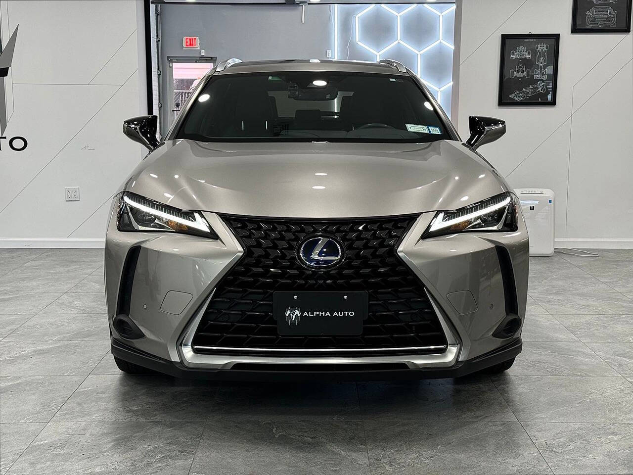 2021 Lexus UX 250h for sale at Alpha Auto Long Island in Westbury, NY